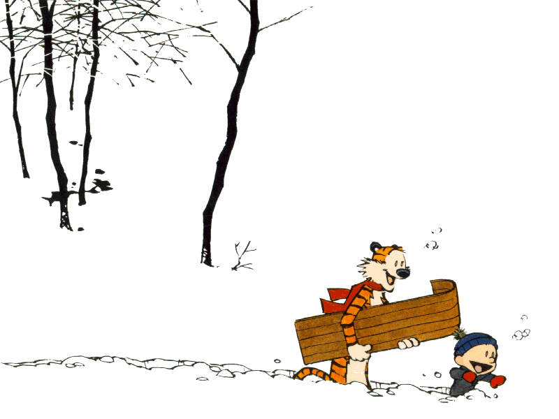 app/src/main/res/drawable/calvin.gif