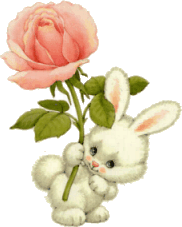 app/src/main/res/drawable/cutebunny.gif