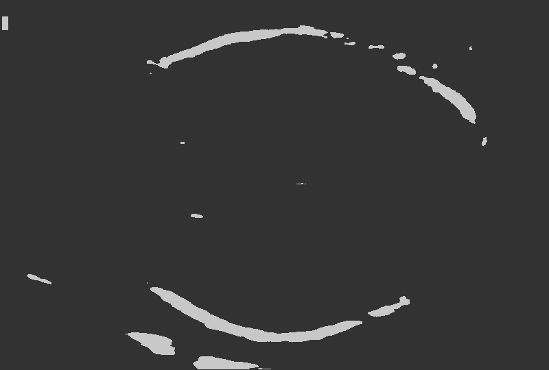 Segmented output/507.png