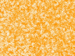 app/src/main/res/drawable/texture2.jpeg