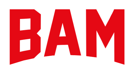 bam/static/logo.png